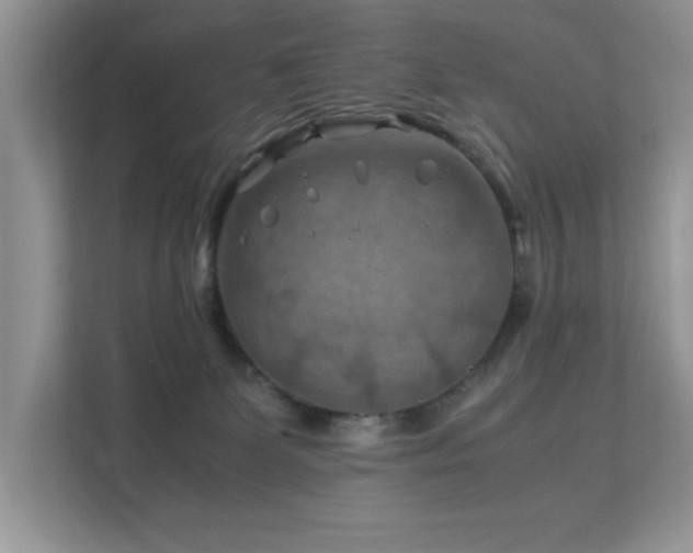 X0000112210131200908071502