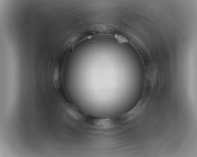 X0000112210132200908071502