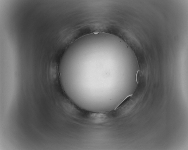 X0000112210133200908071502