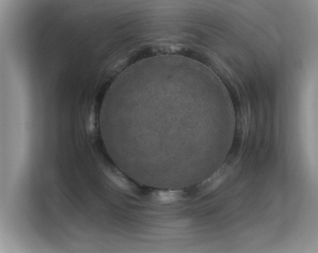 X0000112210134200908071501