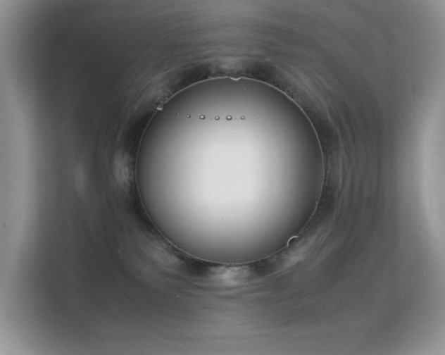 X0000112210135200908071501