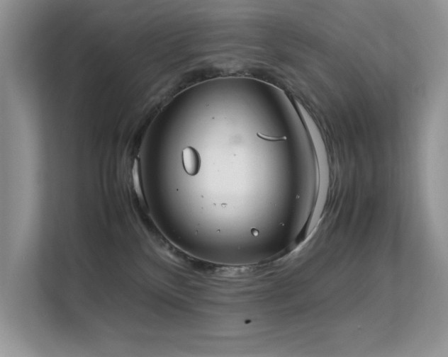 X0000112210136200908071501