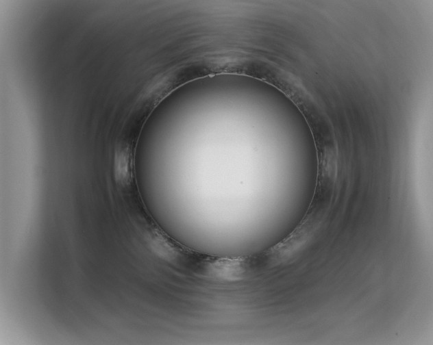 X0000112210138200908071501