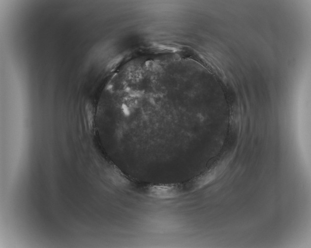 X0000112210139200908071501