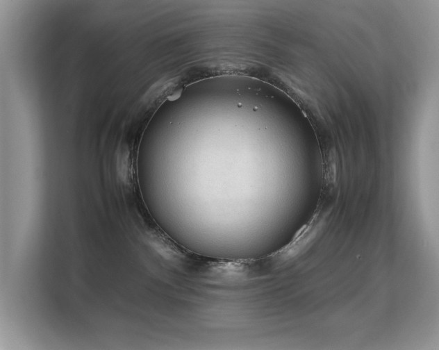 X0000112210140200908071501