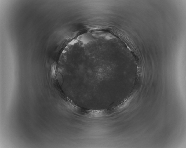 X0000112210143200908071501