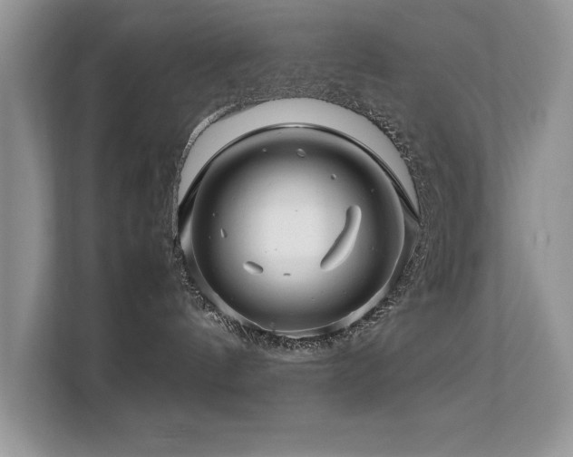 X0000112210144200908071501