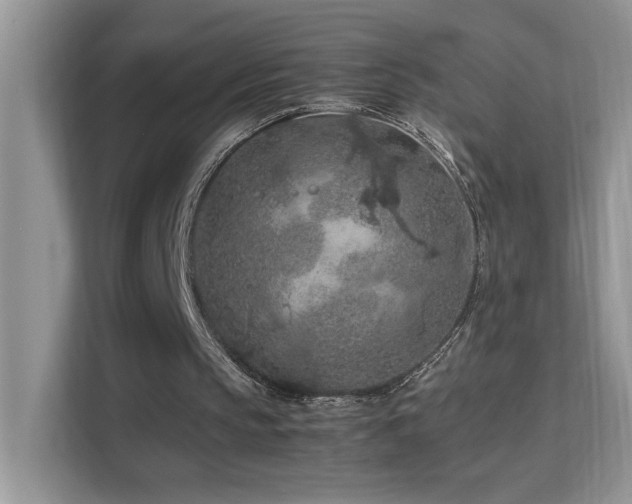 X0000112210145200908071501