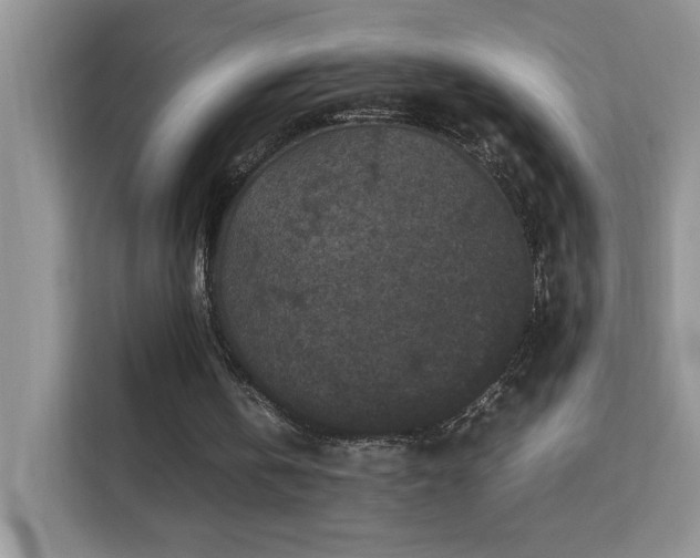 X0000112210146200908071501