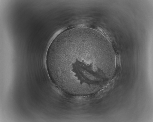 X0000112210147200908071501