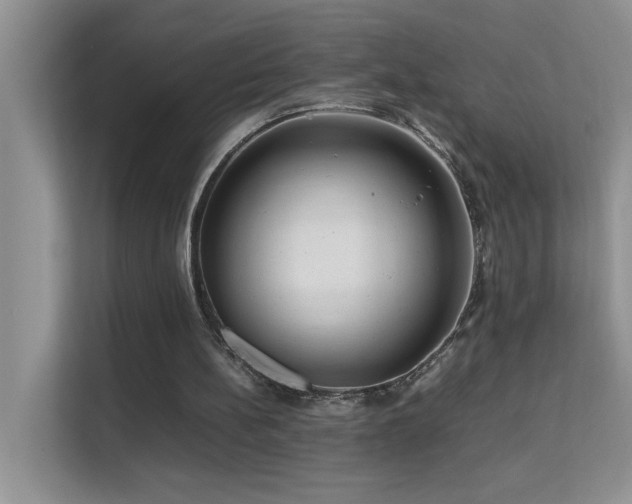 X0000112210148200908071501