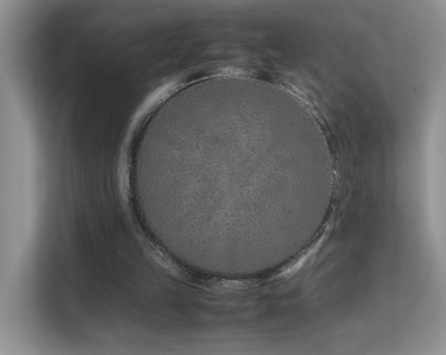 X0000112210149200908071501