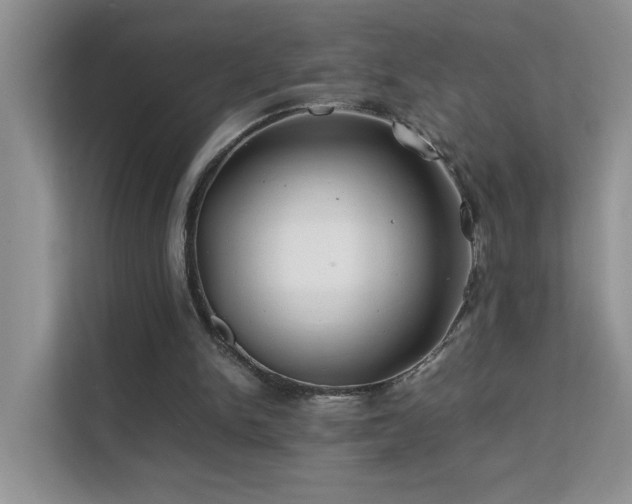 X0000112210150200908071501