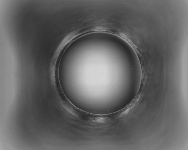 X0000112210151200908071501