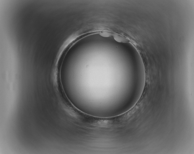 X0000112210152200908071501