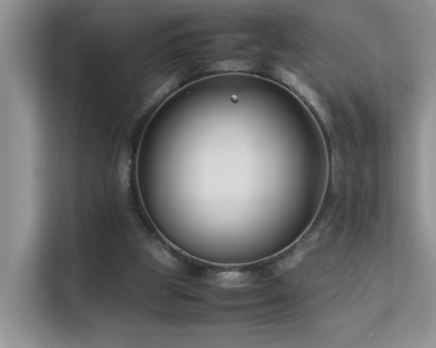 X0000112210153200908071501