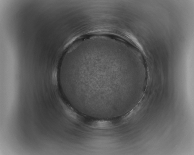 X0000112210154200908071501