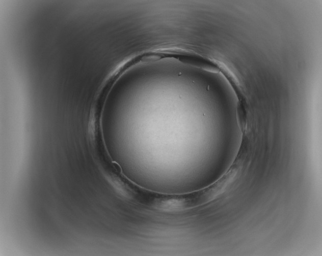 X0000112210156200908071501