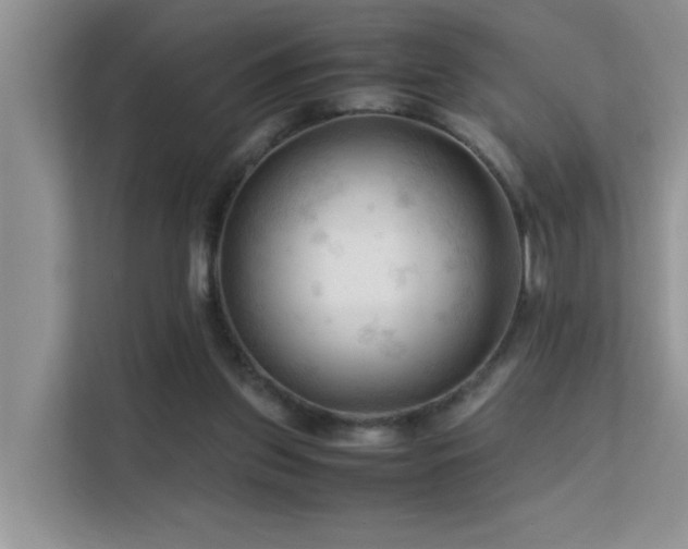 X0000112210157200908071501