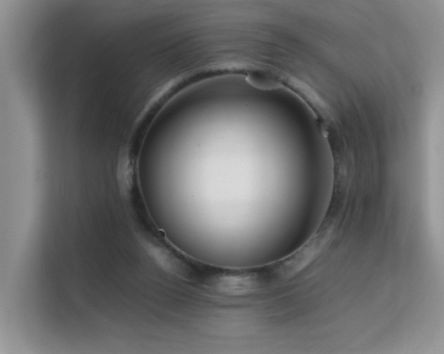 X0000112210160200908071501