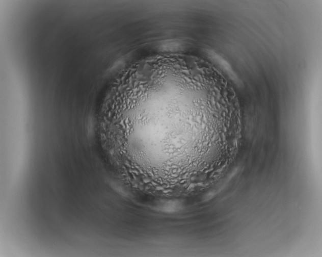 X0000112210161200908071501