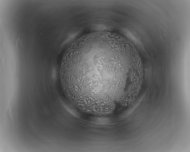 X0000112210165200908071501