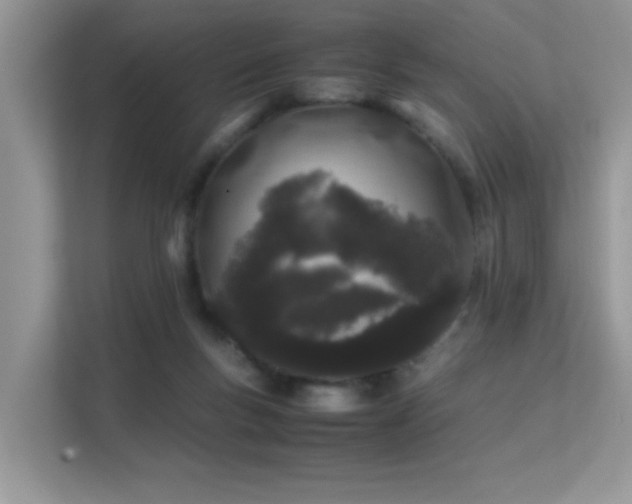 X0000112210167200908071501