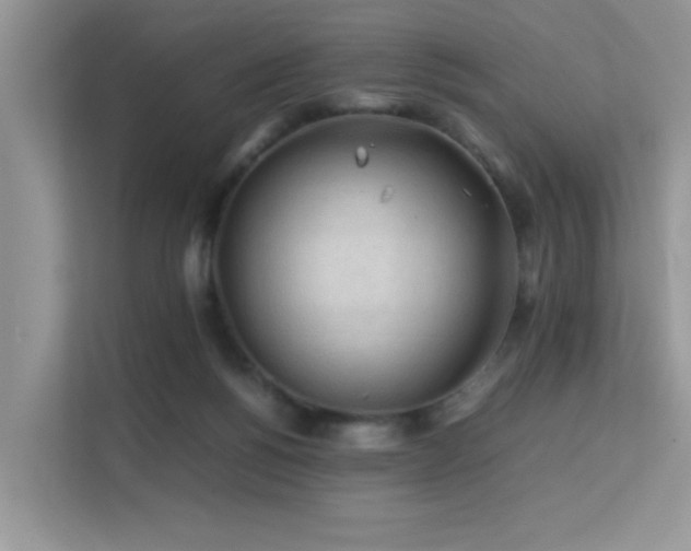 X0000112210168200908071501