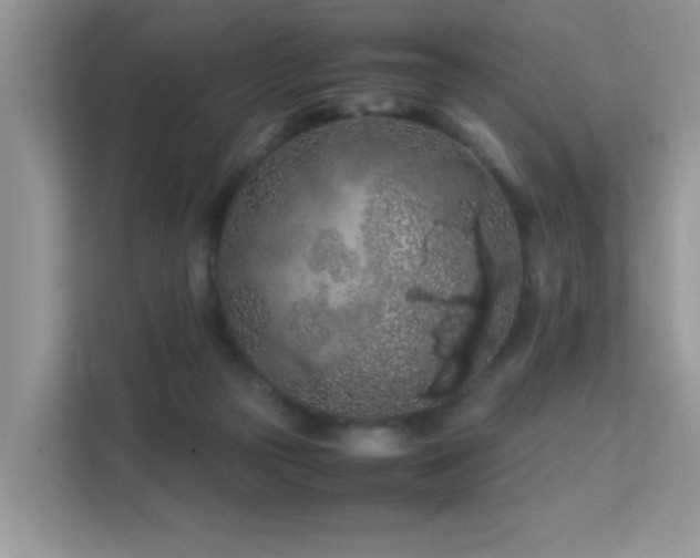 X0000112210169200908071501