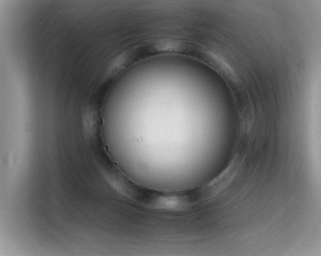 X0000112210171200908071501