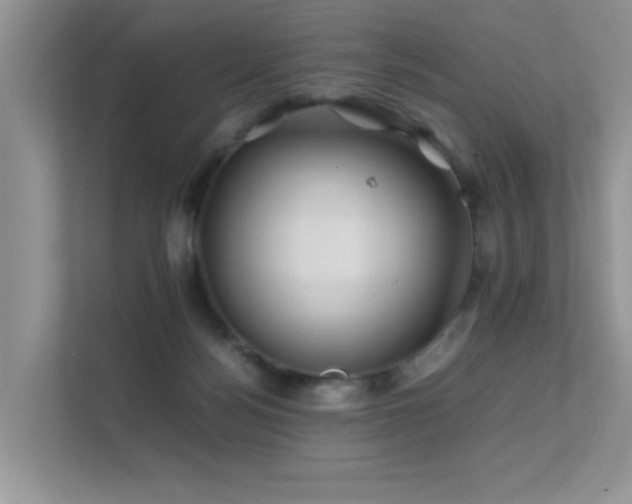 X0000112210172200908071501