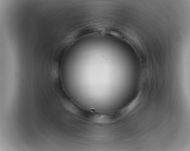 X0000112210174200908071501