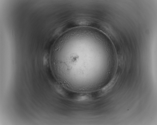 X0000112210175200908071501