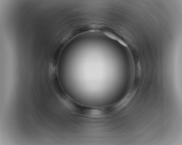 X0000112210176200908071501