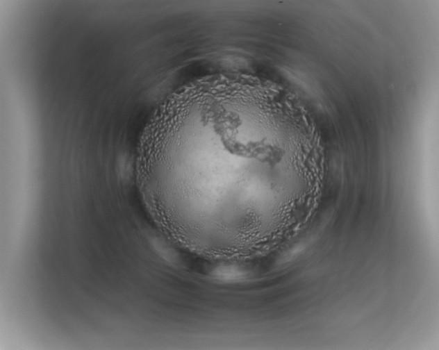 X0000112210177200908071501