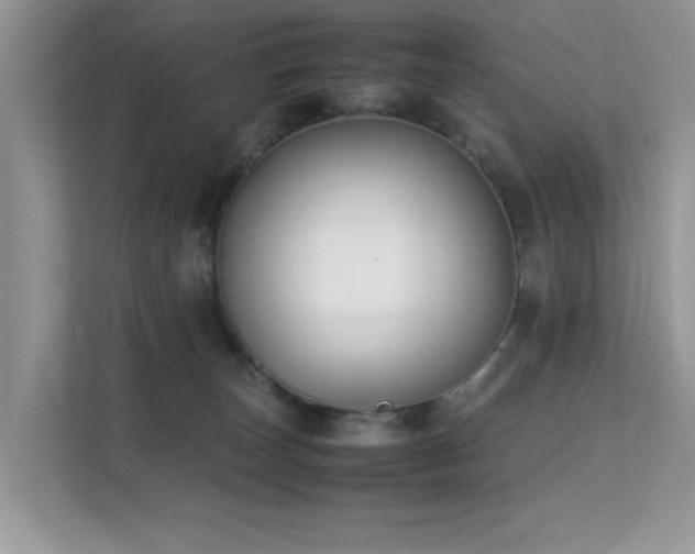 X0000112210179200908071501