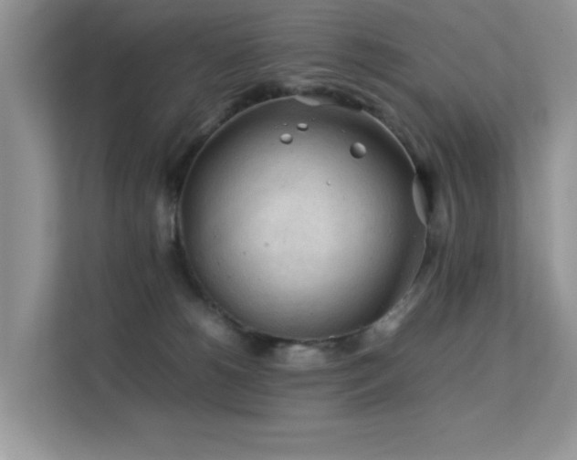 X0000112210180200908071501