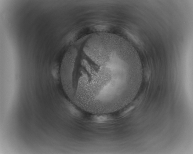 X0000112210181200908071501