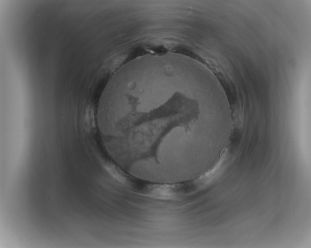 X0000112210182200908071501