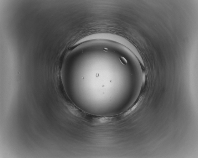 X0000112210184200908071501