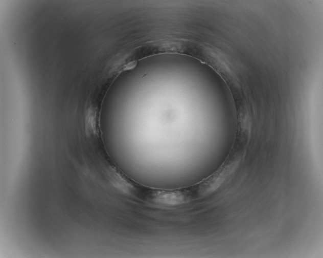 X0000112210185200908071501