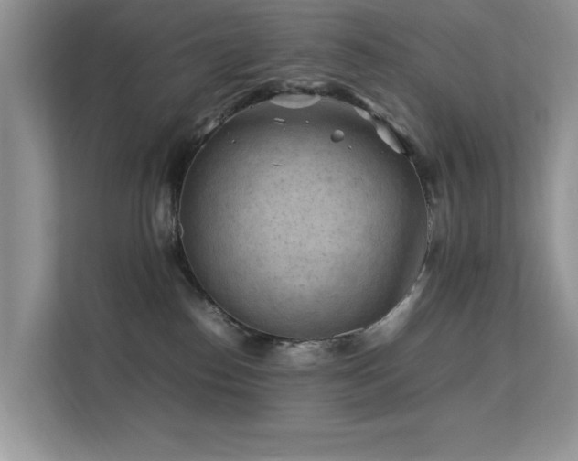 X0000112210186200908071501