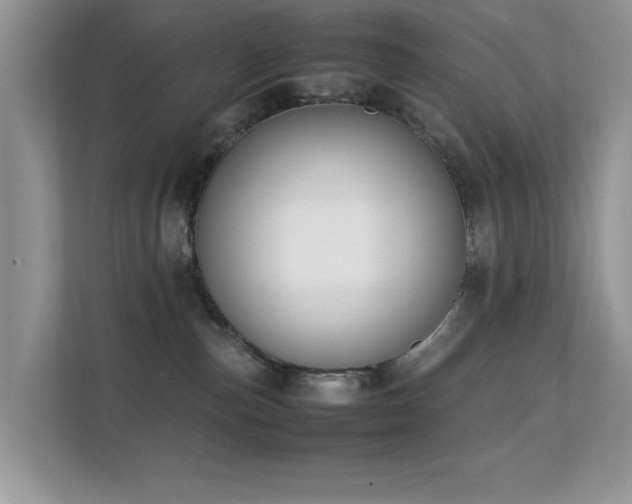 X0000112210187200908071501