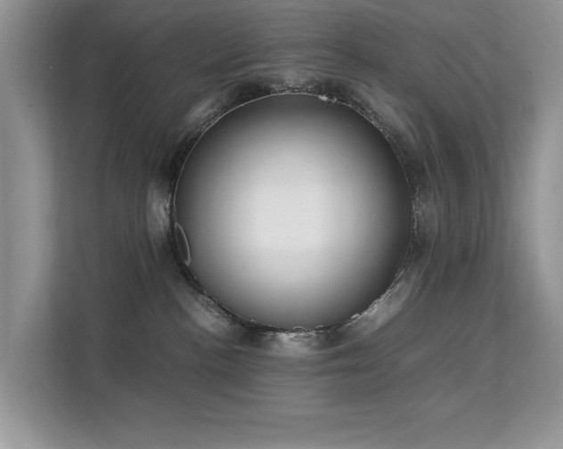 X0000112210188200908071501