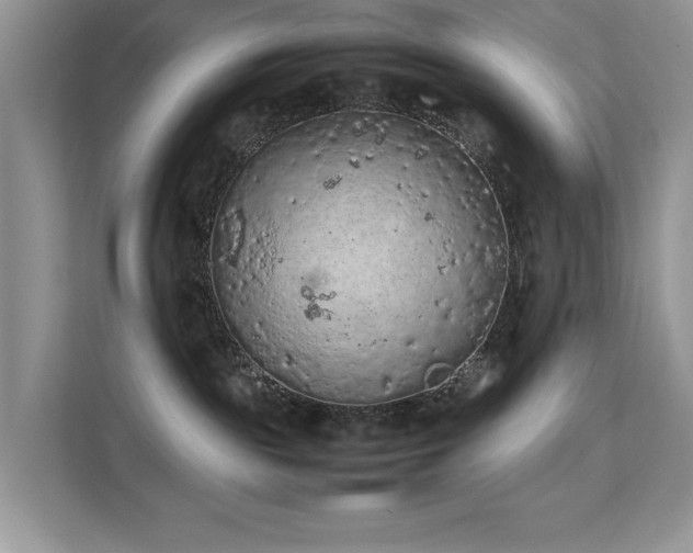 X0000112210189200908071501