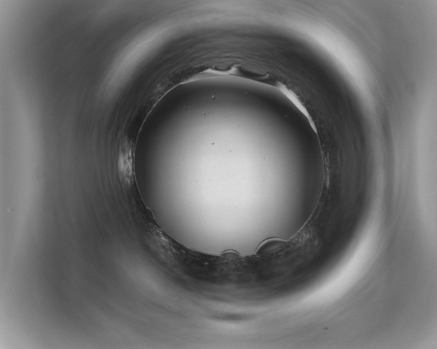 X0000112210190200908071501