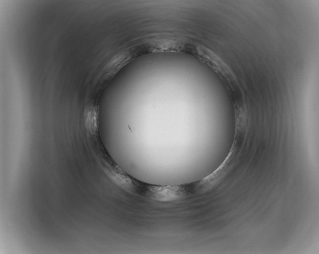 X0000112210191200908071501