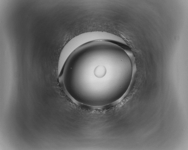 X0000112210192200908071501