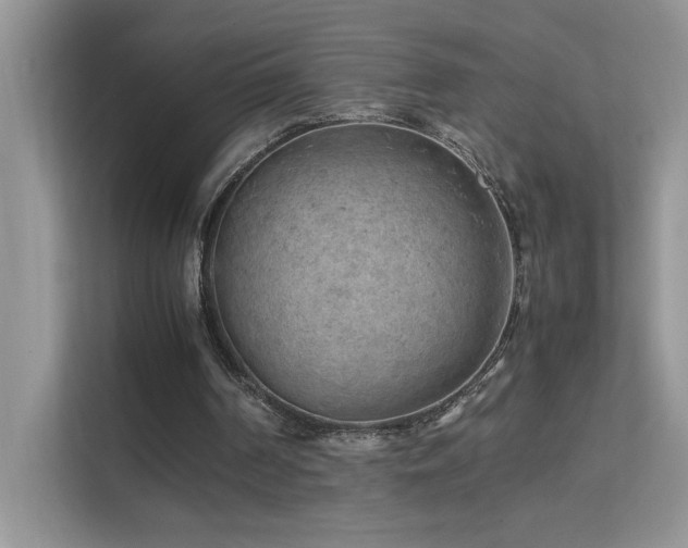 X0000112210194200908071501