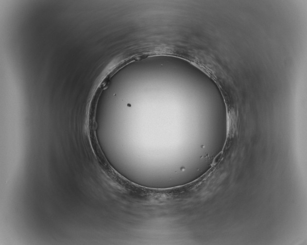 X0000112210195200908071501